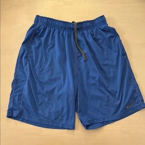 Nike Men's Blue Athletic Shorts